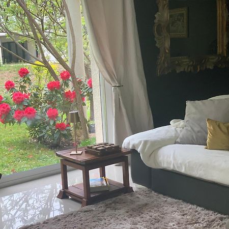 La Maison D'Isabel Montauban Ngoại thất bức ảnh