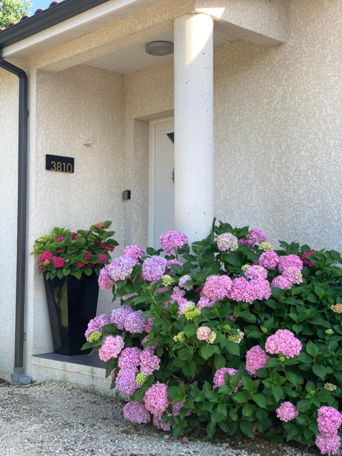 La Maison D'Isabel Montauban Ngoại thất bức ảnh